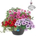 Afbeelding van Hp27 multi Mix 03